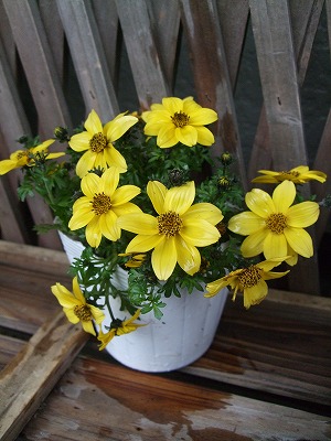 ファイル fl_1521.jpg