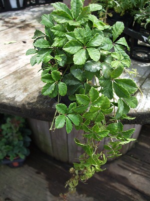 ファイル le_1002-2.jpg