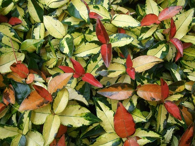 ファイル le_1005-2.jpg