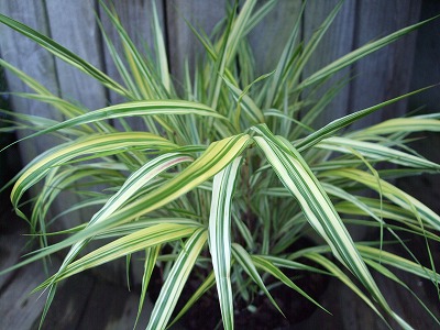 ファイル le_1029.jpg