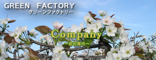 会社案内
